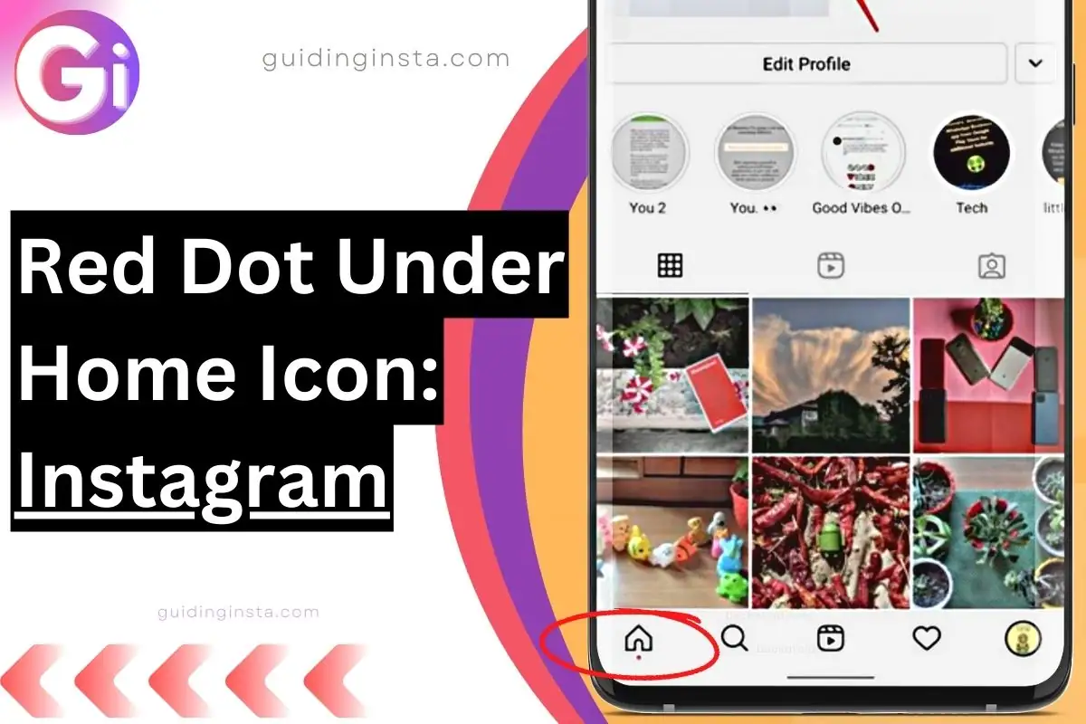 red dot on home icon showing on Instagram app with overlay text