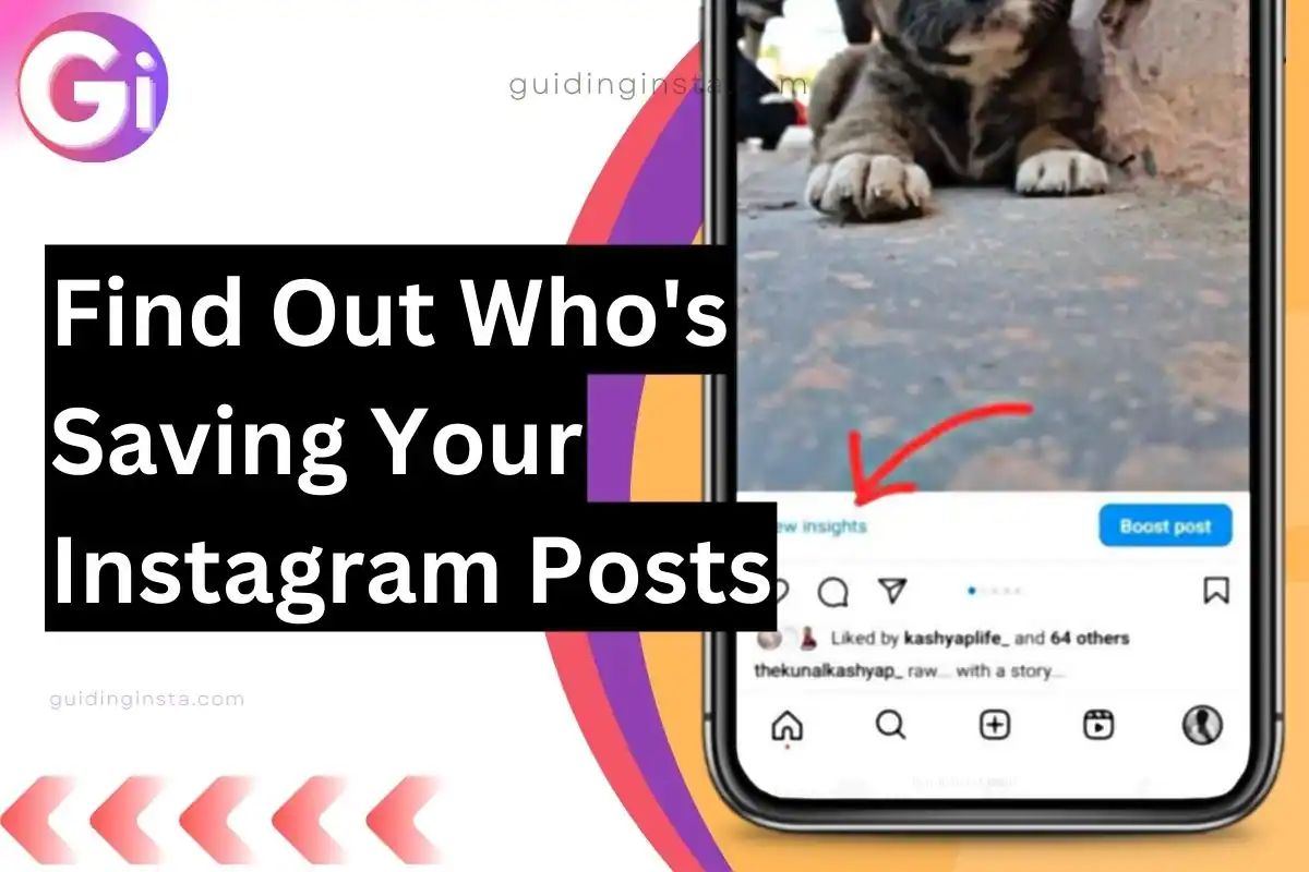 Find Out Who's Saving Your Instagram Posts