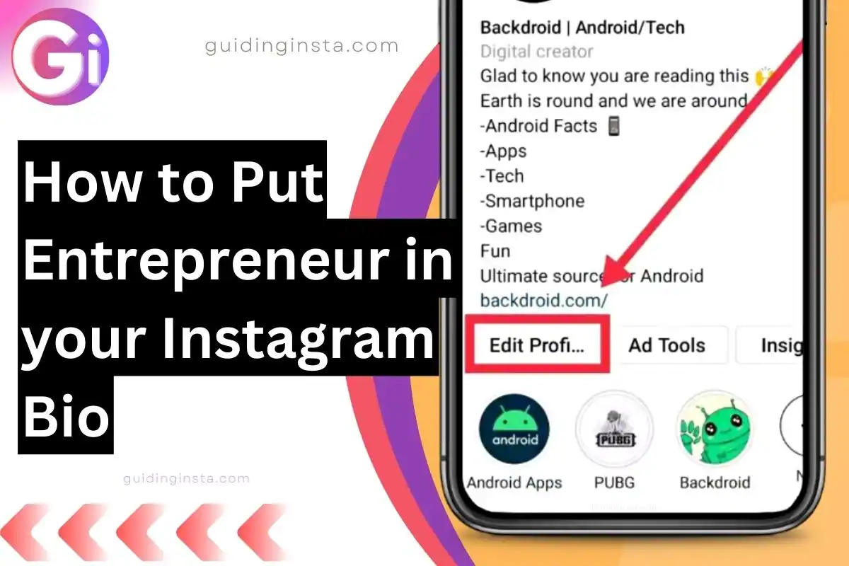 Thumbnail to Put Entrepreneur in your Instagram Bio