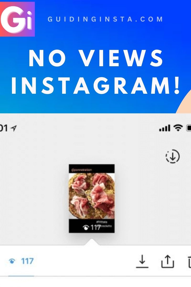 no views instgaram text only with screenshot of story with views