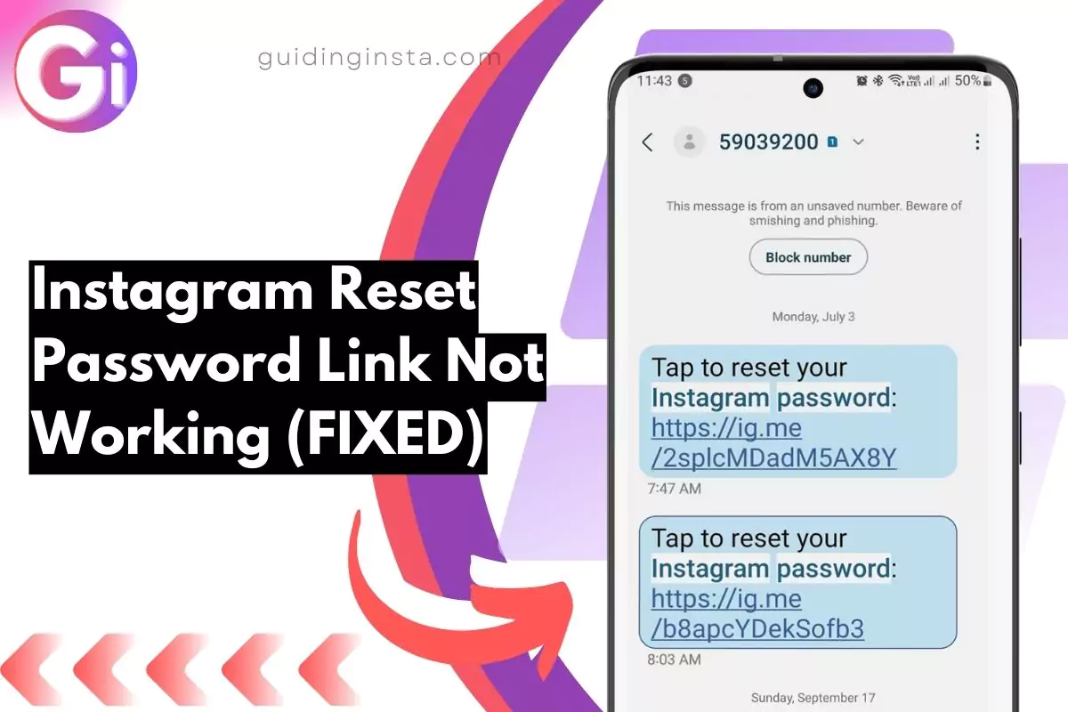screenshot of instagram reset pass link with overlay text Reset Password Link Not Working