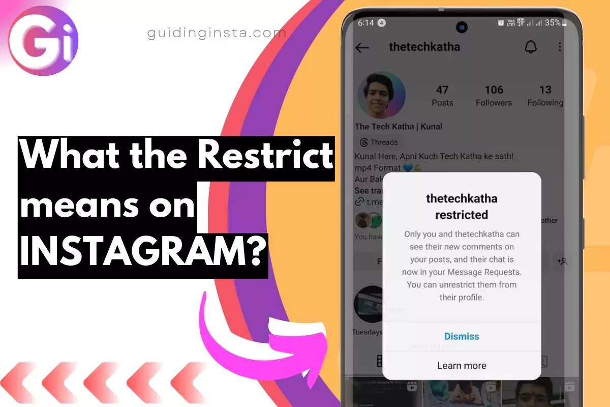 screenshot of restricted on instagram with overlay text what does it mean
