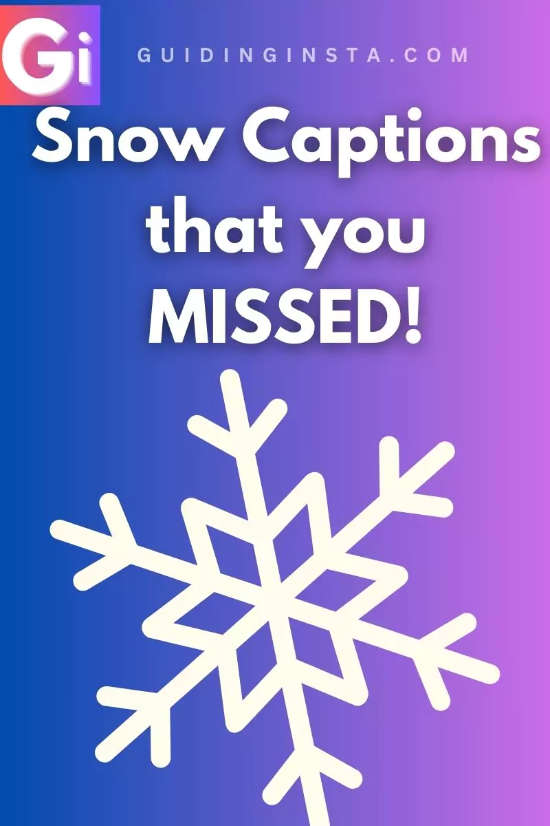 snow element with overlay text snow captions that you missed