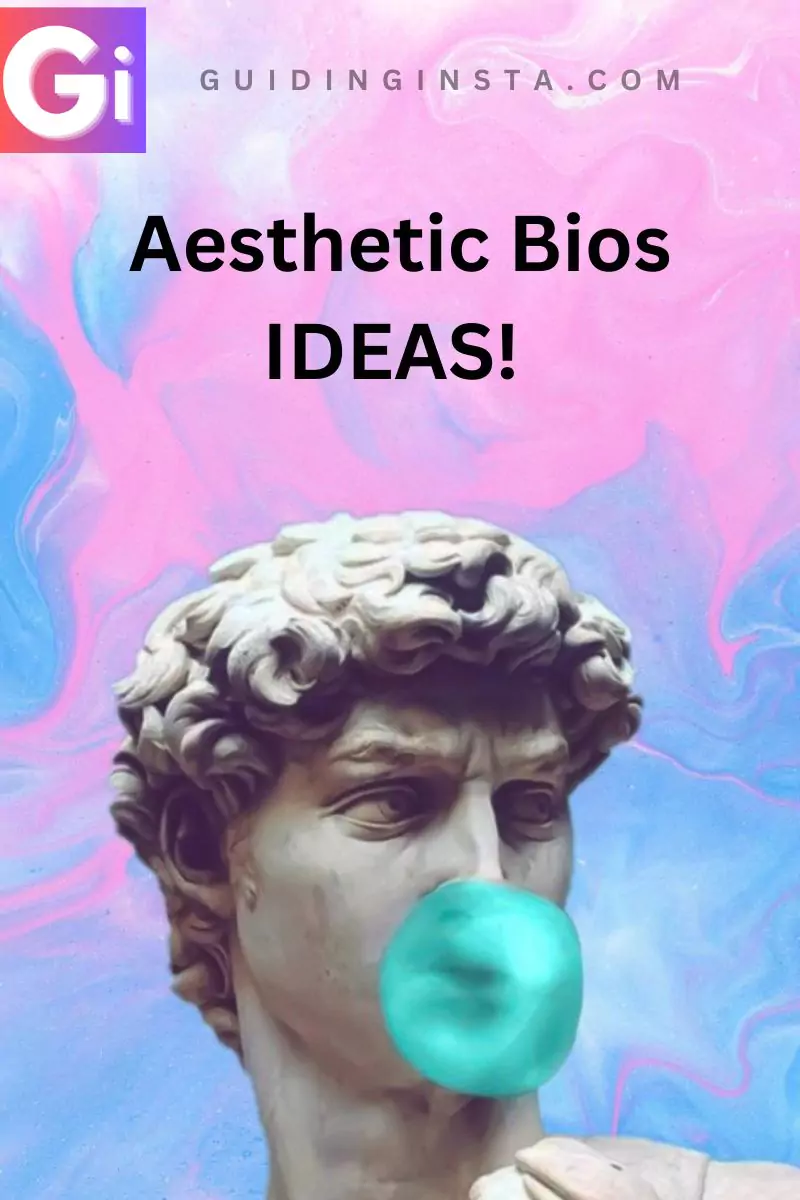 instagram bio ideas aesthetic image with overlay texts