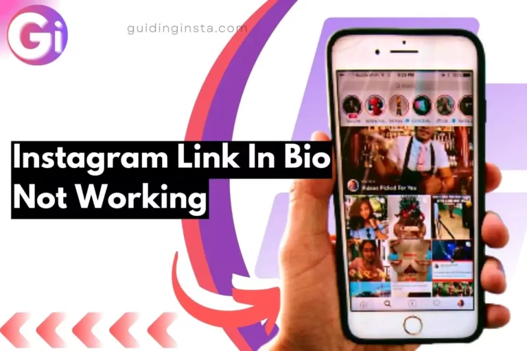 screenshot of Instagram Link In Bio Not Working with overlay text
