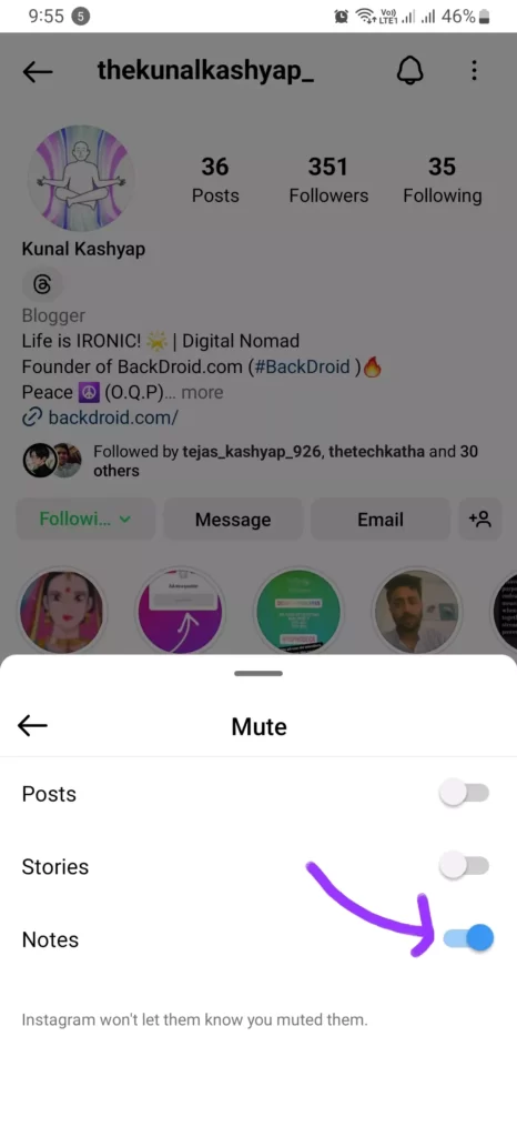 screenshot of muted notes on instagram