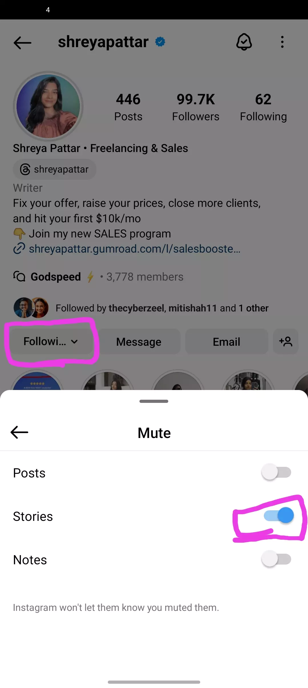 screenshot of unmuting stories from profile instagram