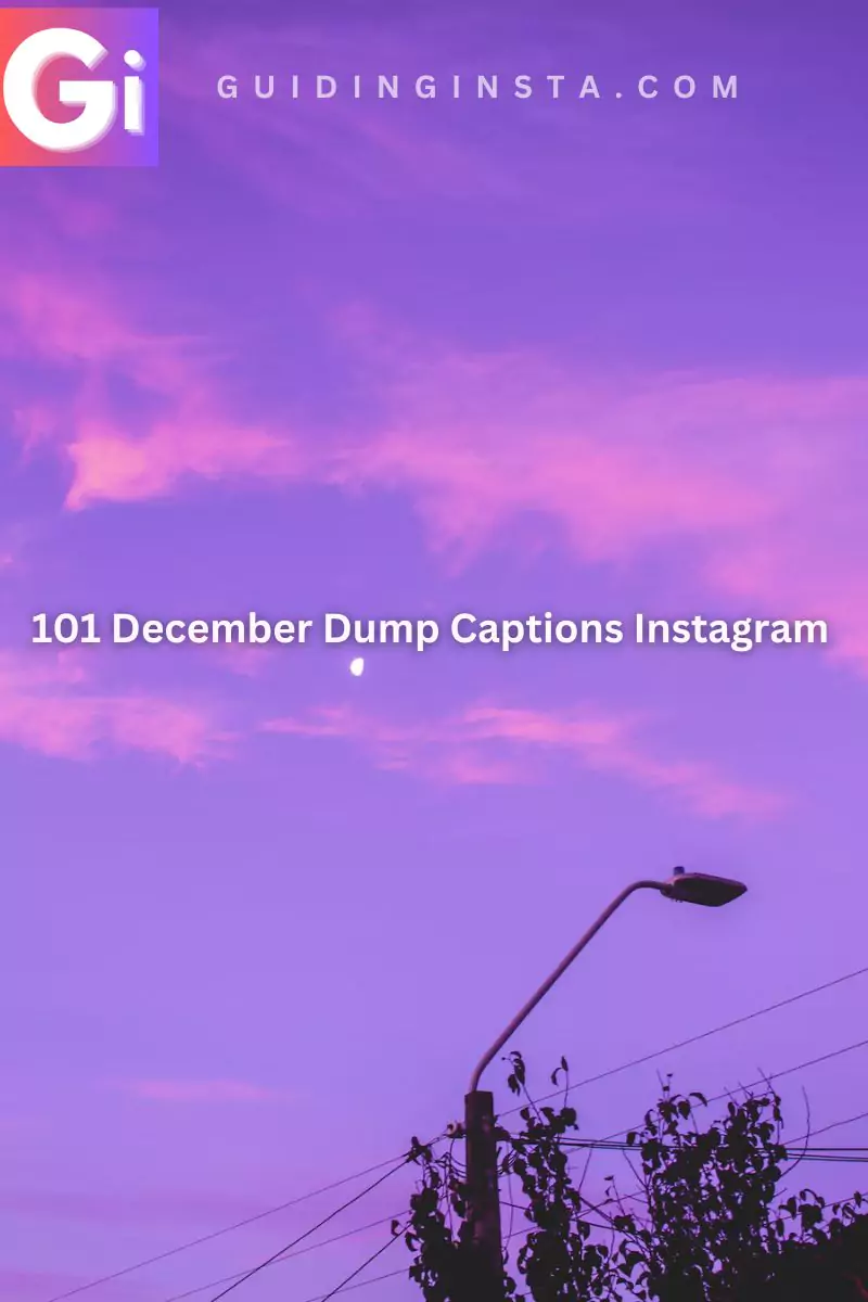 101 december dump quotes image with text aesthetic