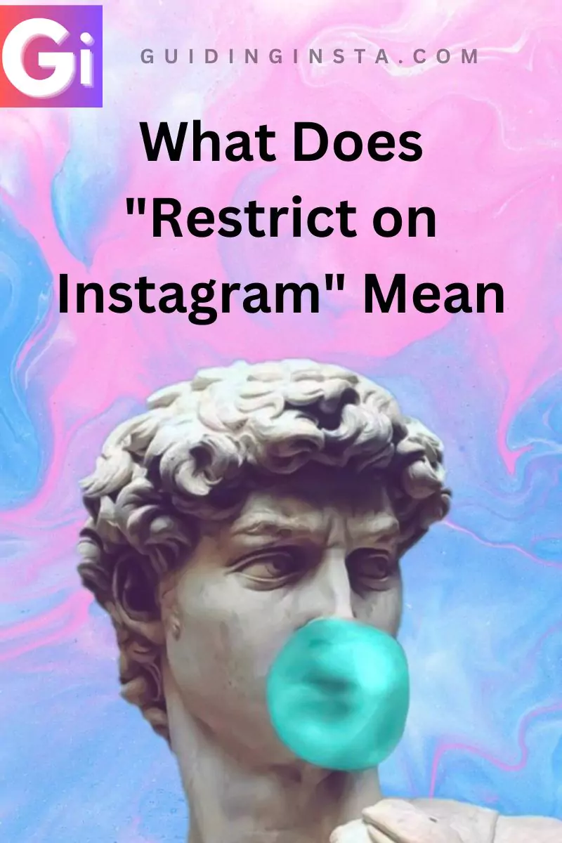 What Does Restrict on Instagram Mean overlay text