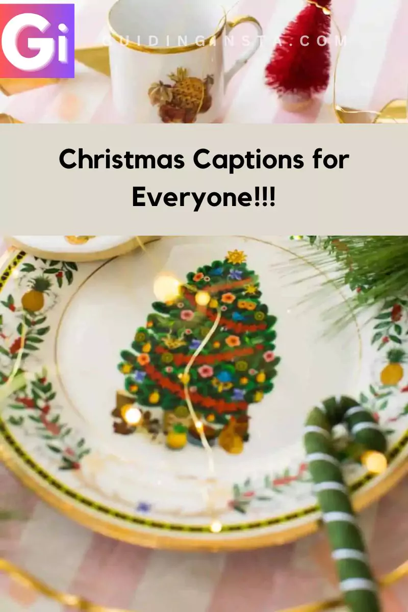 image of Christmas plate with overlay text for everyone captions