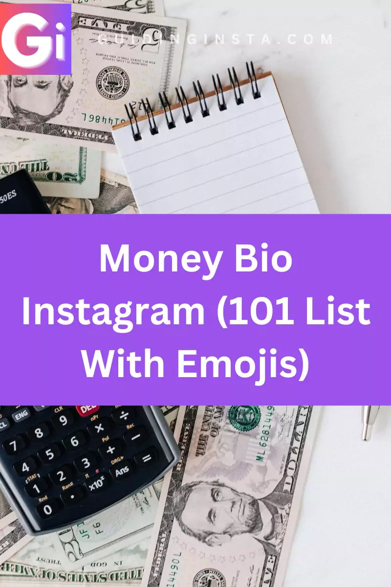image of Money Bio Instagram (101 List With Emojis)