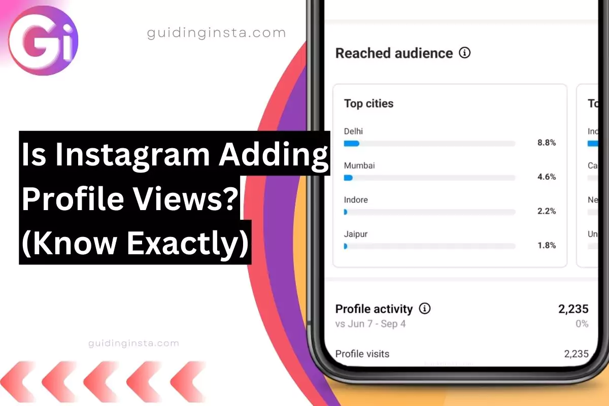screenshot of profile visit feature with overlay text Is Instagram Adding Profile Views