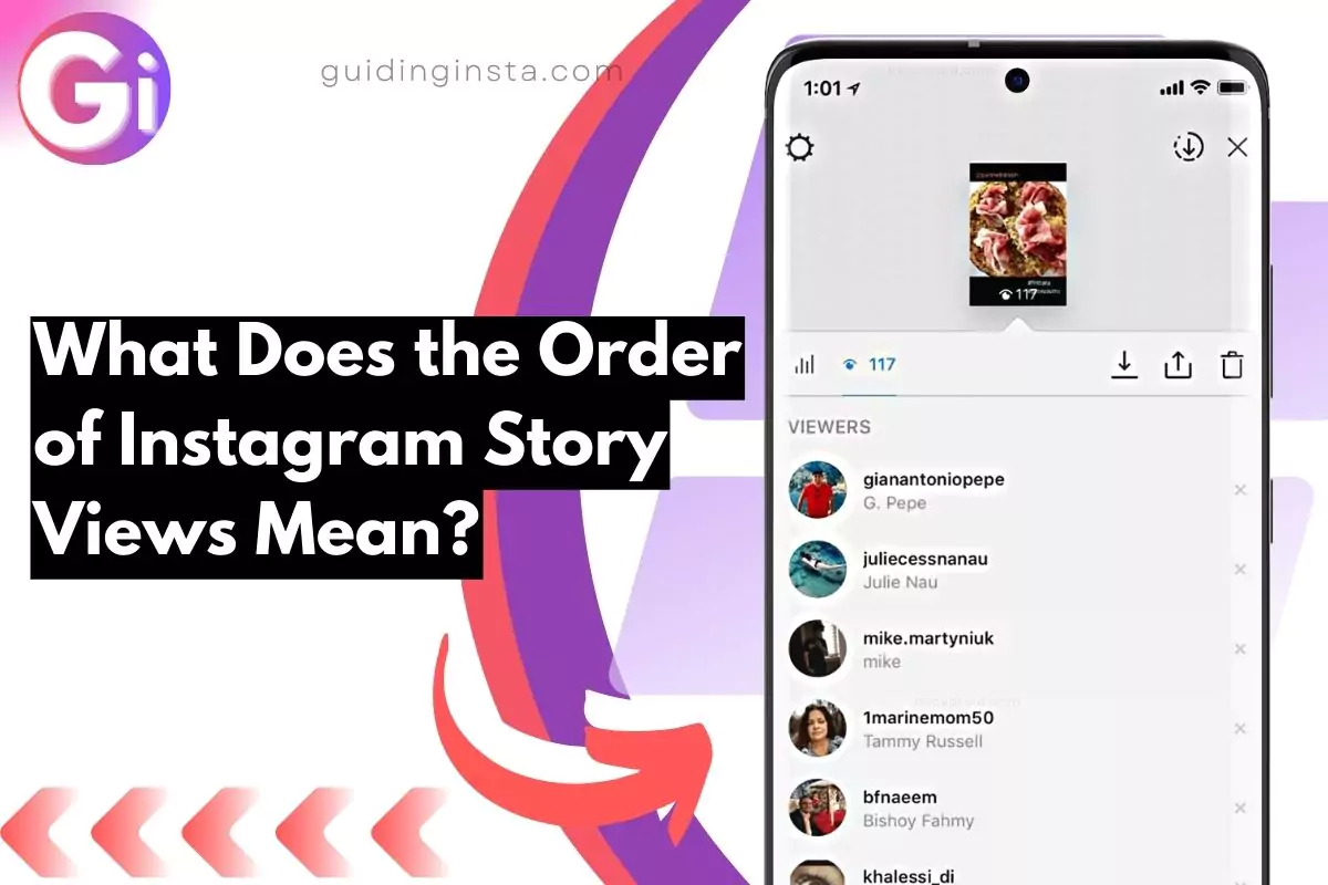 screenshot of What Does the Order of Instagram Story Views Mean with screenshots