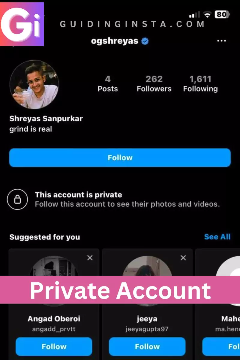 screenshot of private account with overlay text